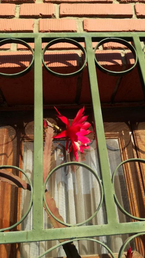 Bed and Breakfast Lo De Su Сальта Экстерьер фото